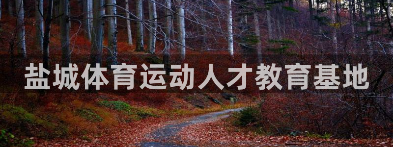 vsport体育官方正版app官方:盐城体育运动人才教育基地