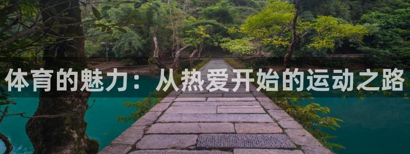 vsport体育官方正版app新能源:体育的魅力:从热爱开始