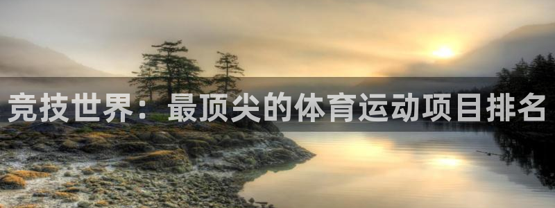 vsport体育官方正版app集团E.ON:竞技世界:最顶尖